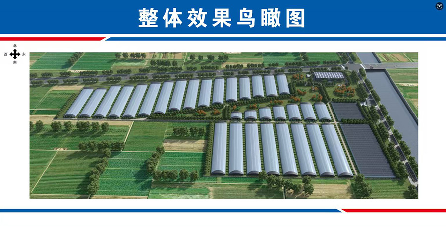 徐州市创高农业发展有限公司